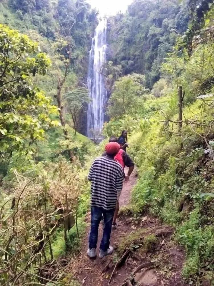 Hiking