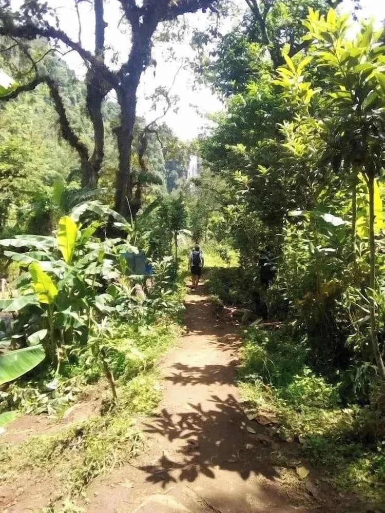 Hiking