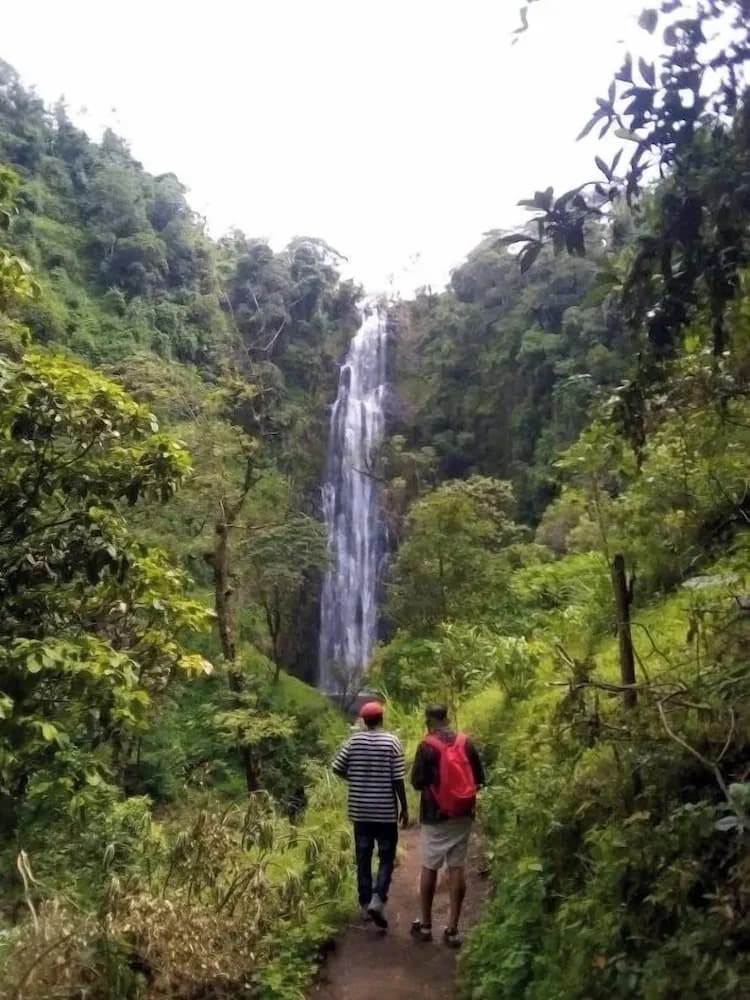Hiking