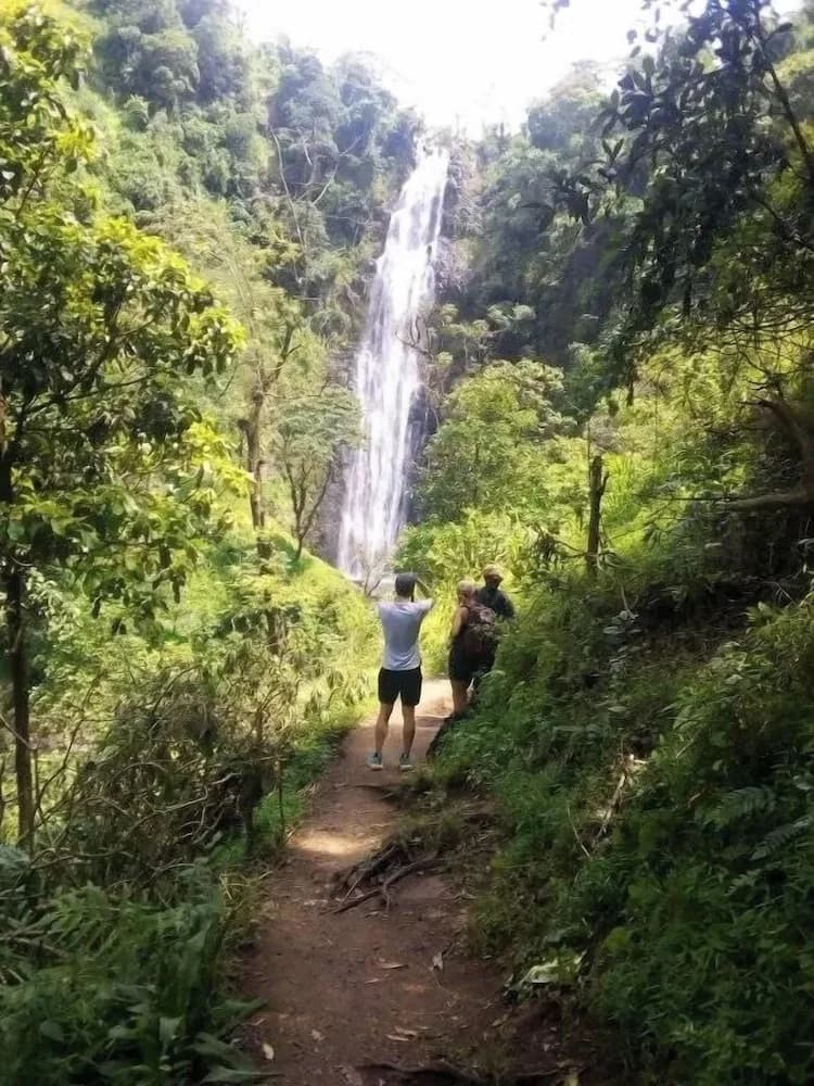 Hiking