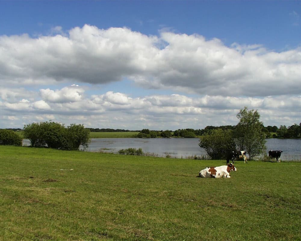 Land view from property