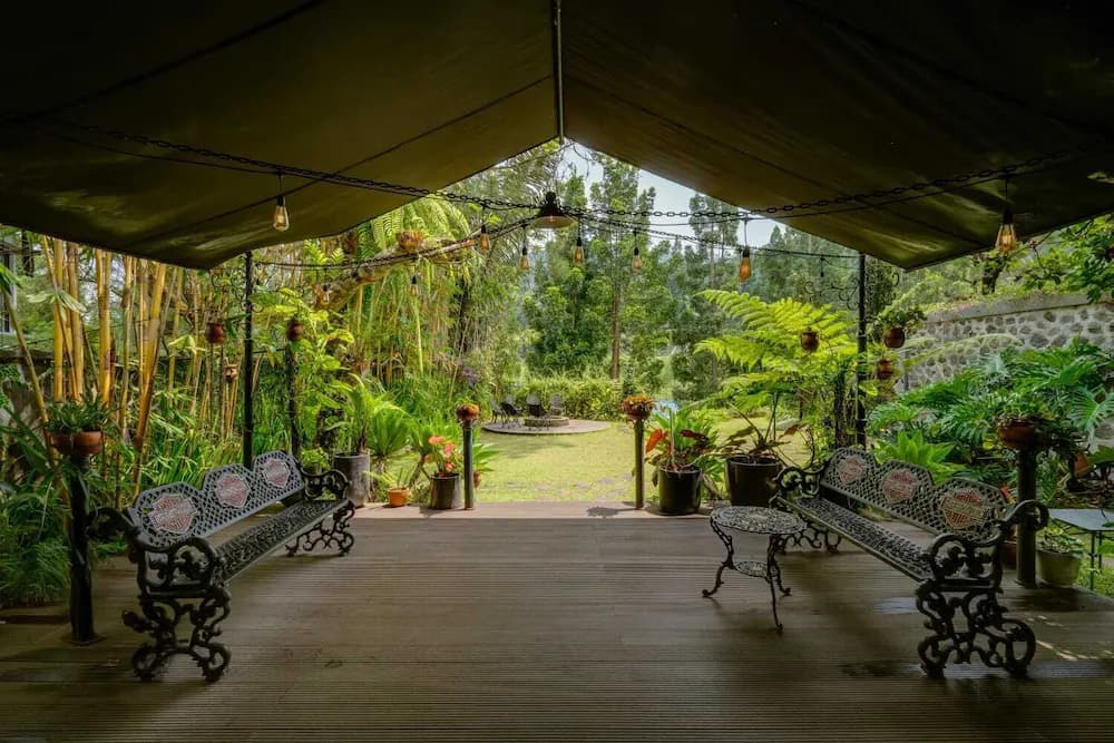 Garden view