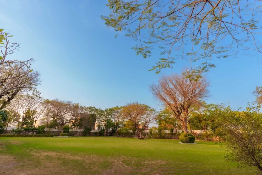 Garden view