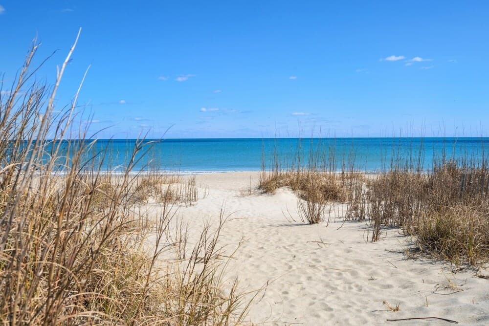 Beach