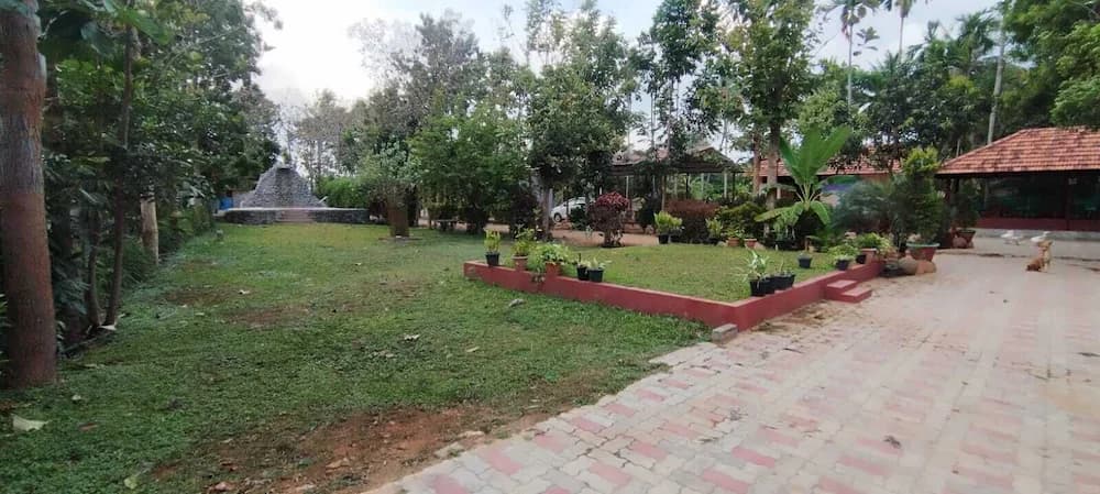 Garden view