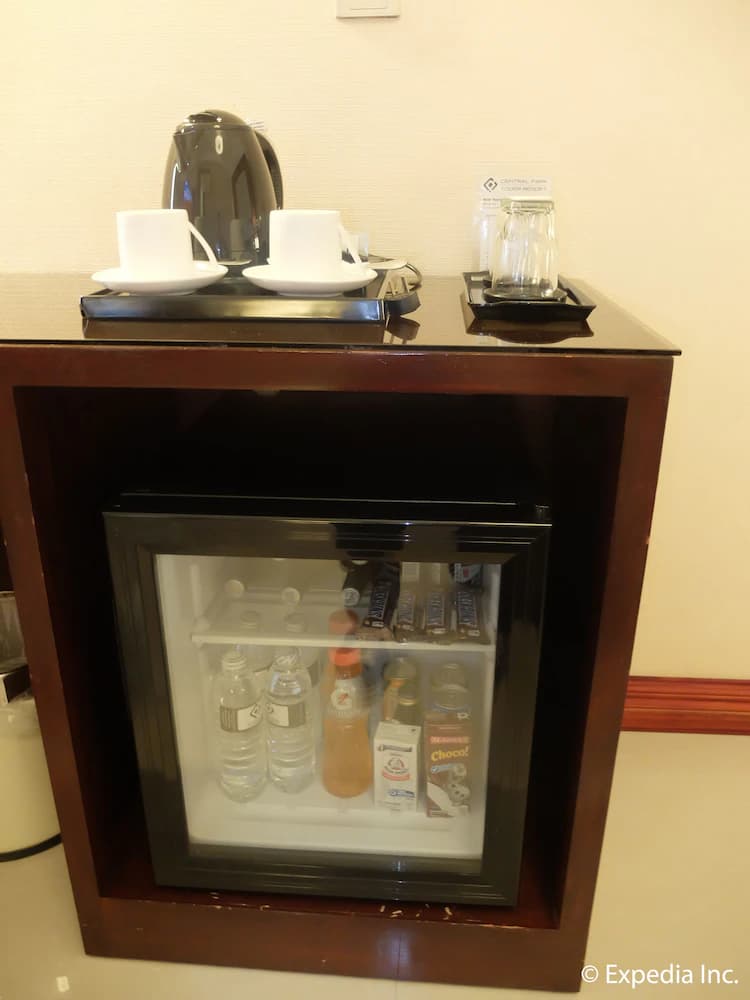 Mini-refrigerator