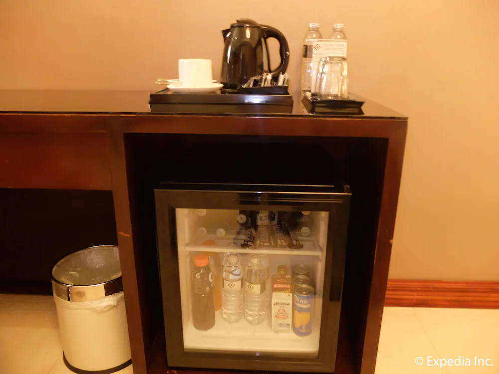 Mini-refrigerator
