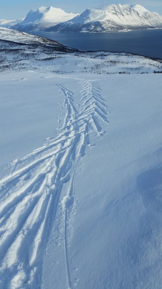 Skiing