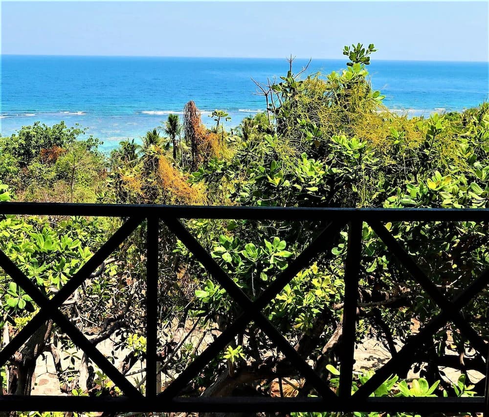Beach/ocean view