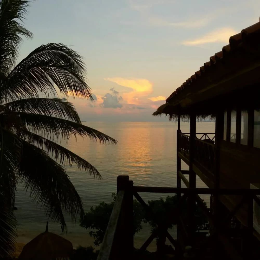 View from room