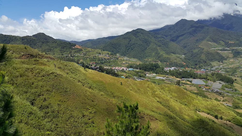 Mountain view