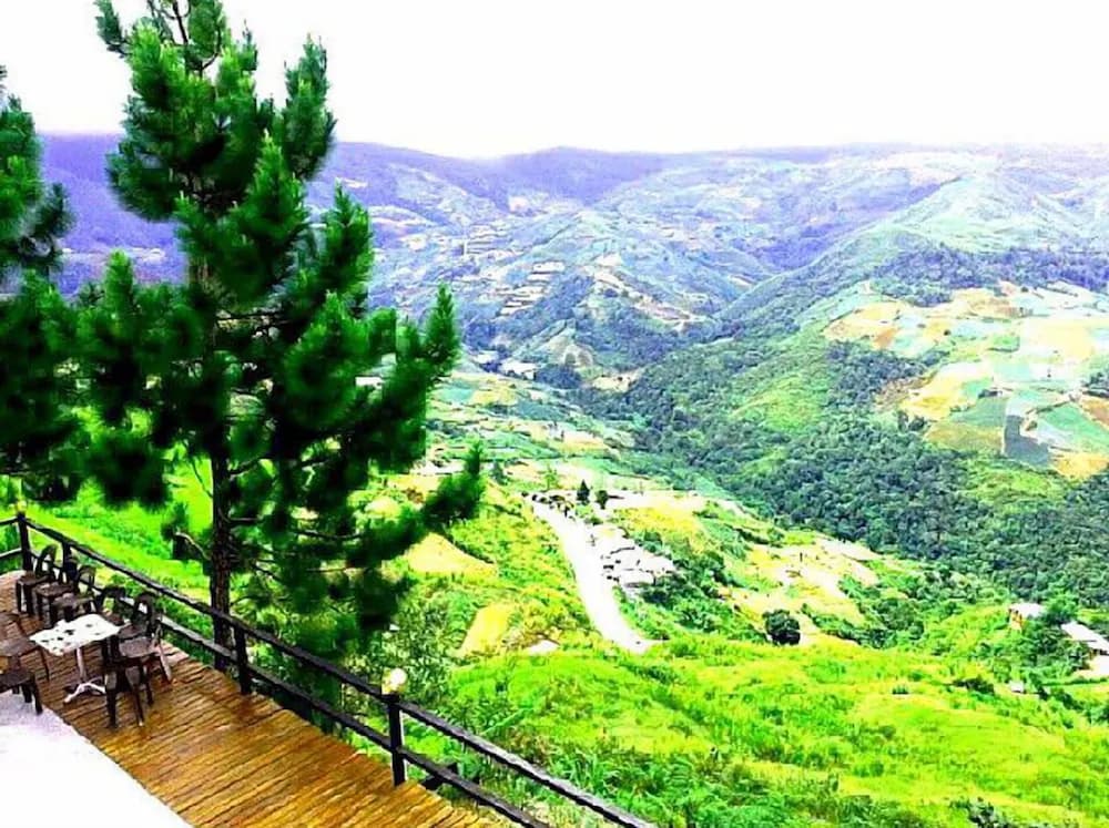 Mountain view