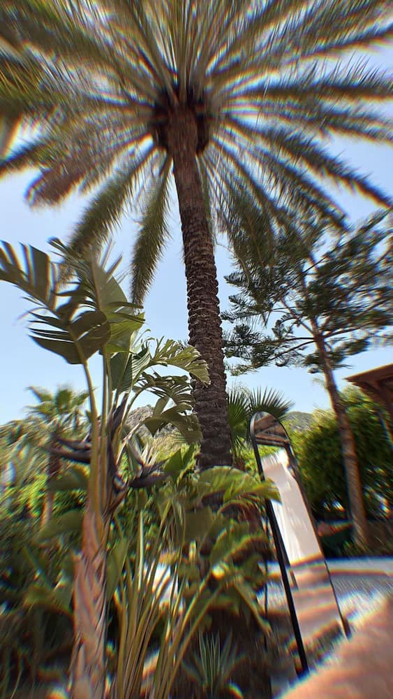 Garden view