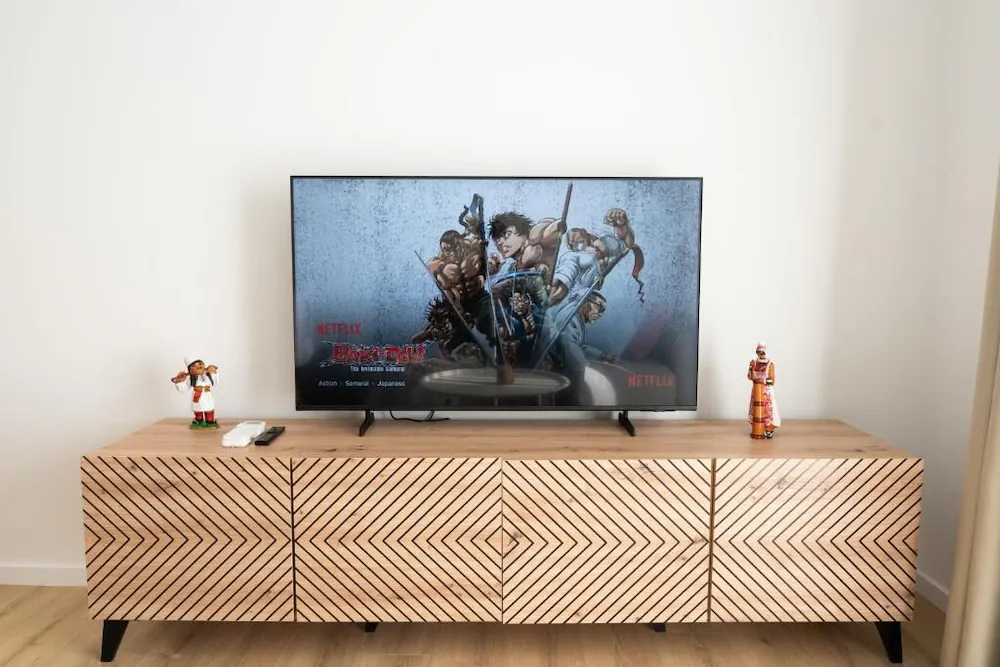 Television