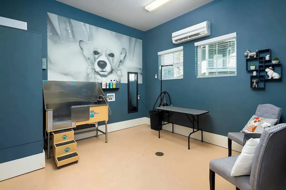Pet-friendly amenities