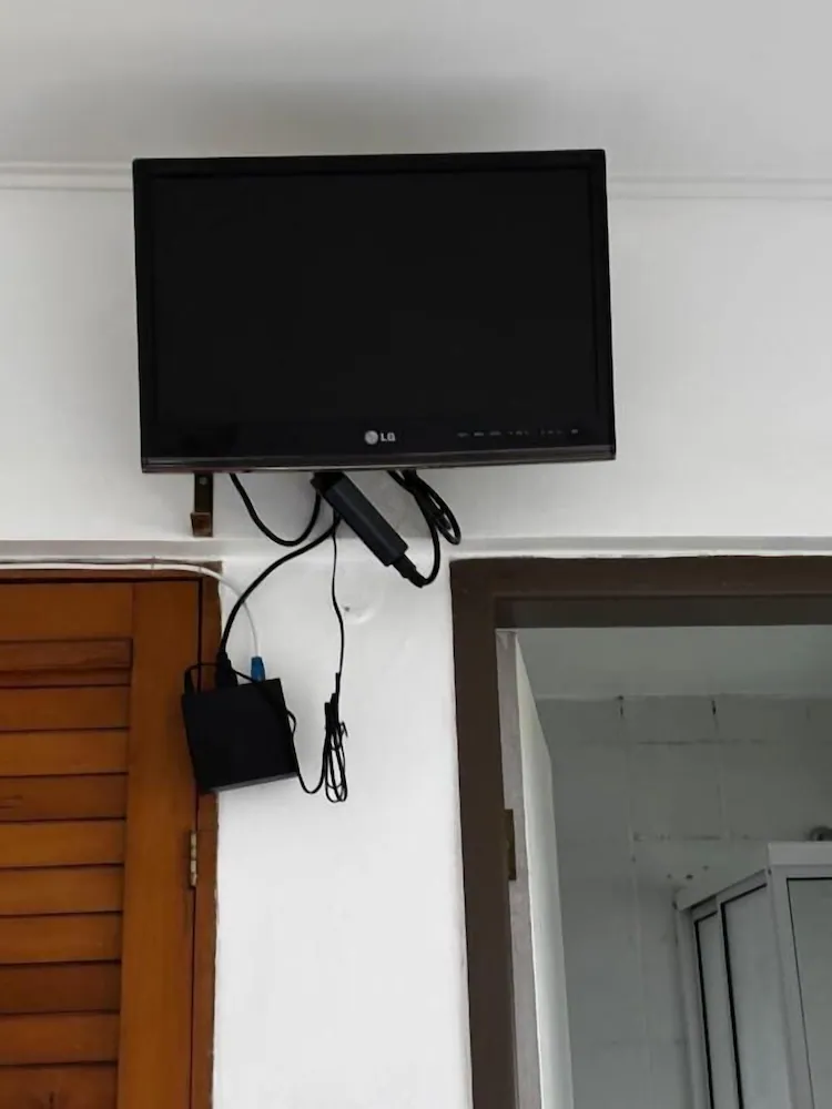 Television