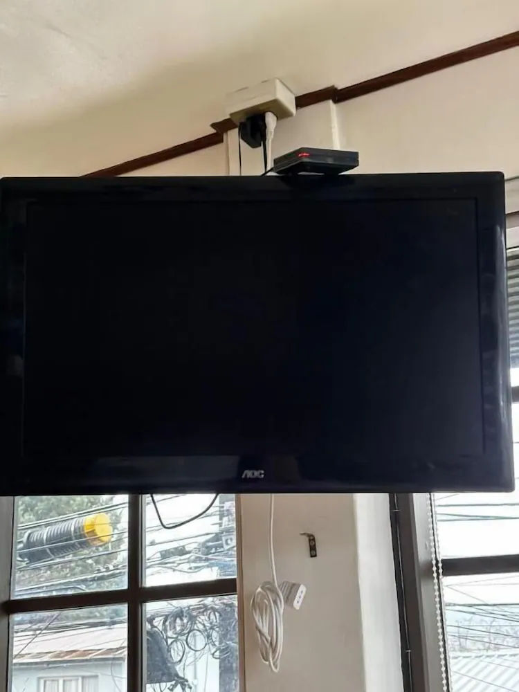 Television