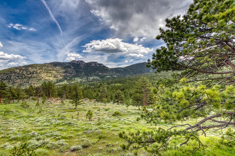 Mountain view