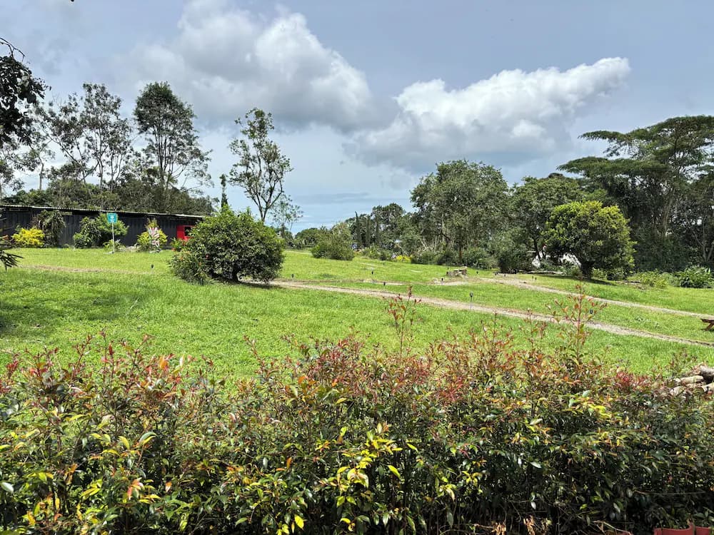 View from property