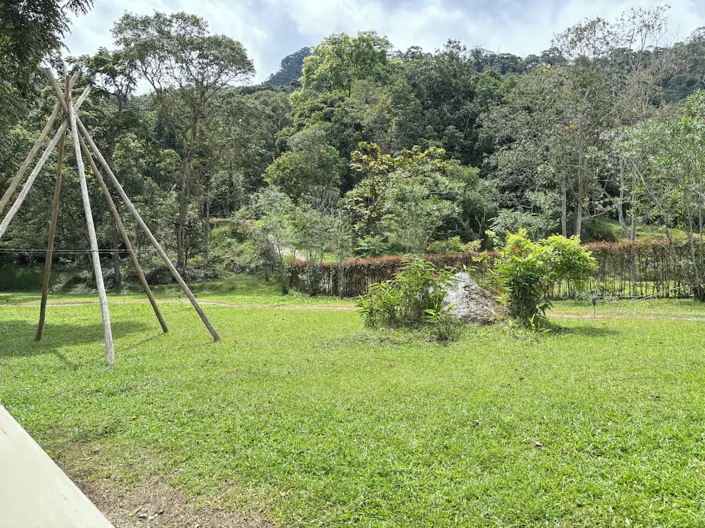 View from property