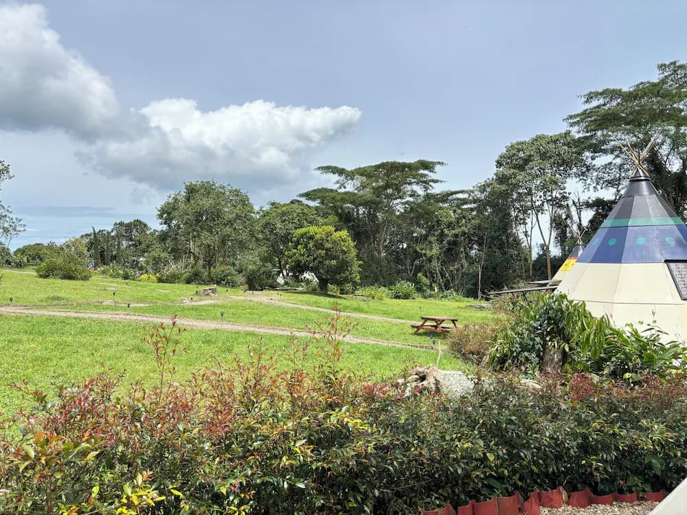 View from property