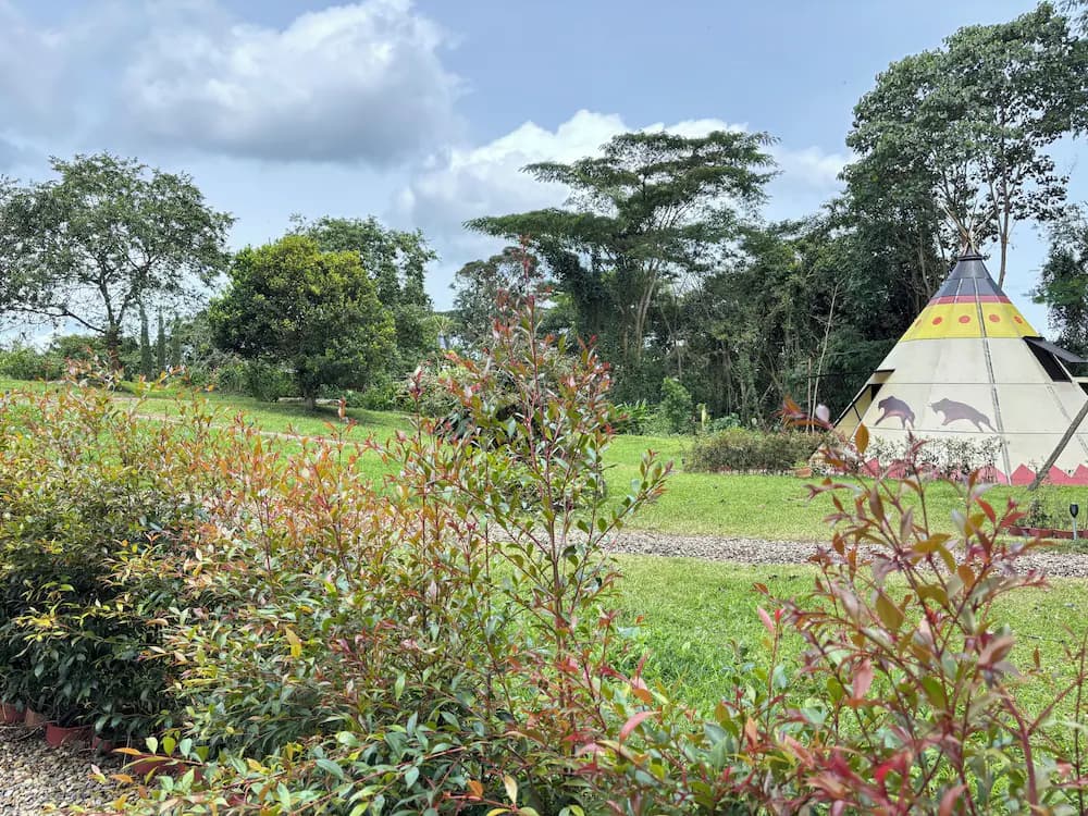 View from property