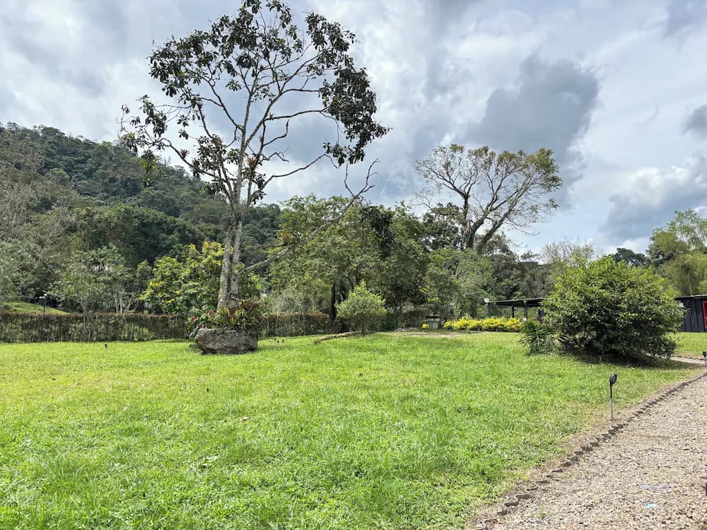 View from property