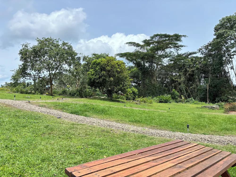 View from property