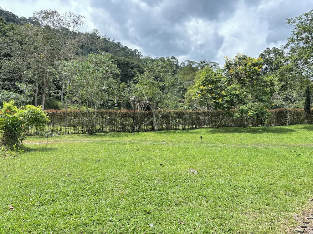 View from property