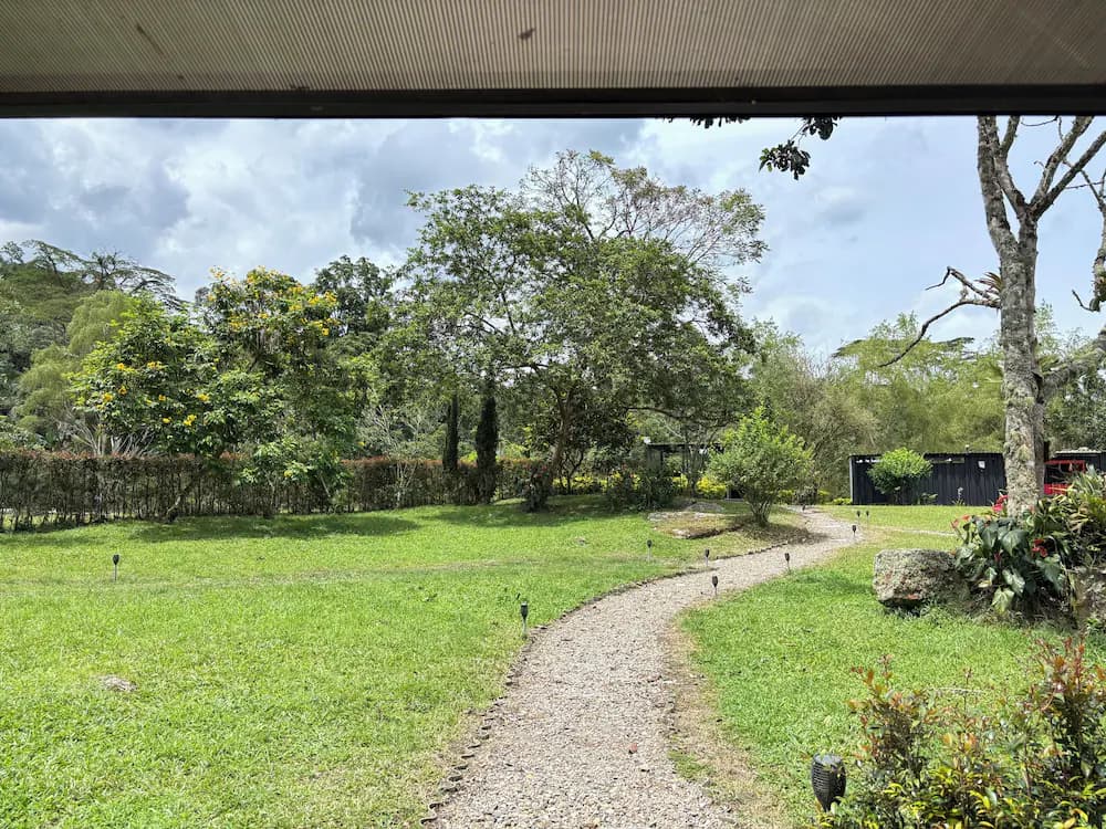 View from property