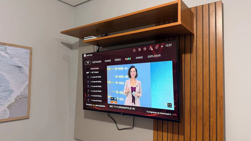 Television