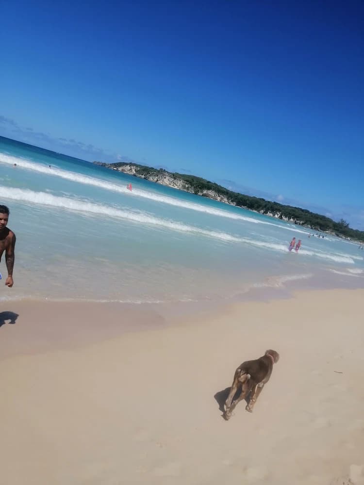 Beach