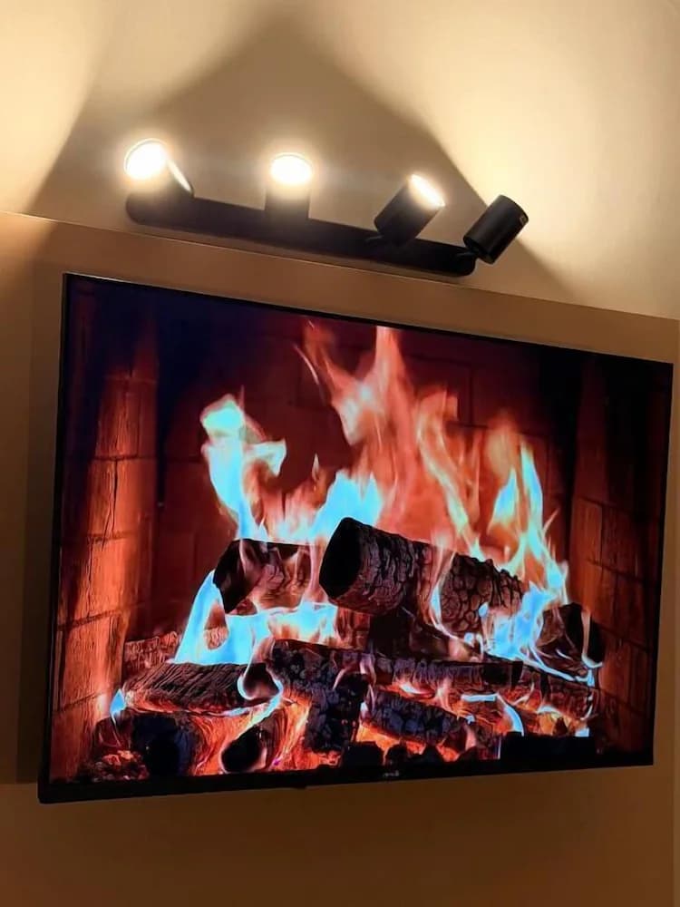 Television