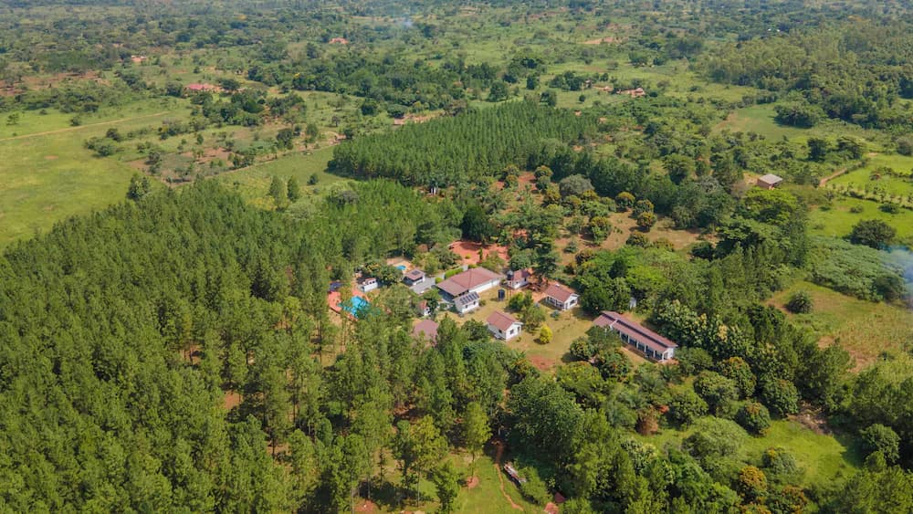 Aerial view