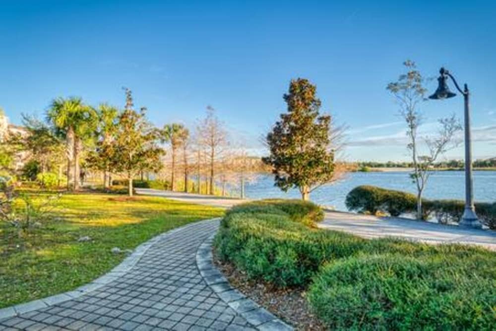 Lake view