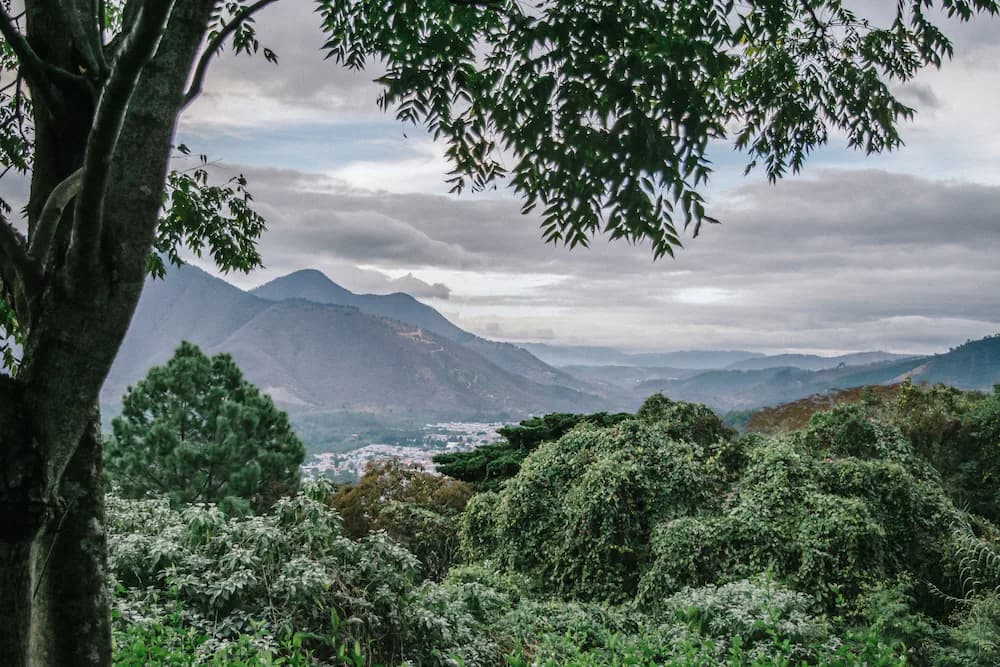 Mountain view
