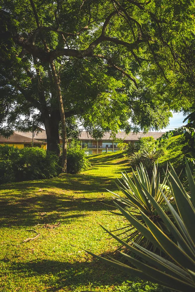 Property grounds
