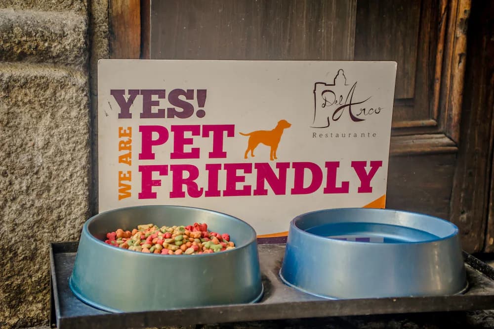 Pet-friendly