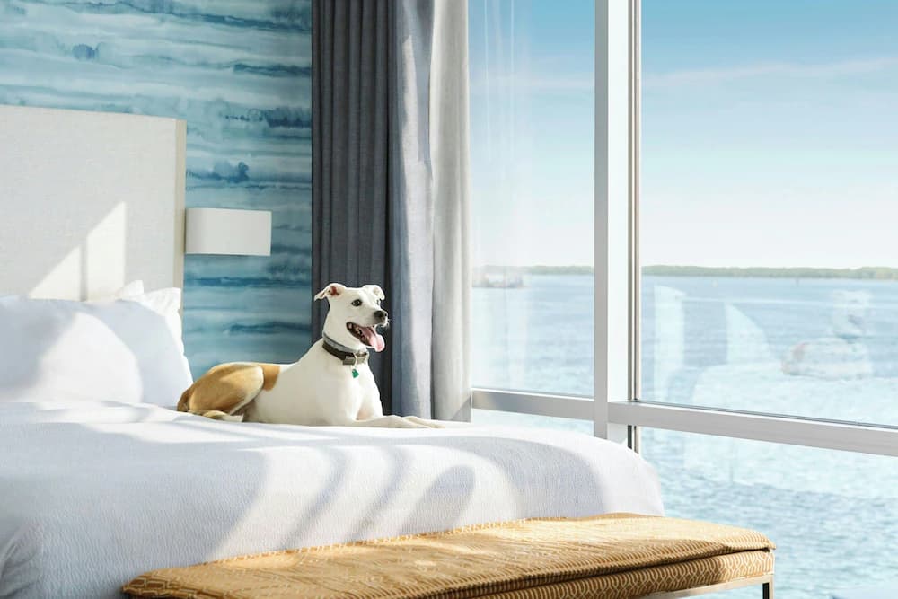 Pet-friendly