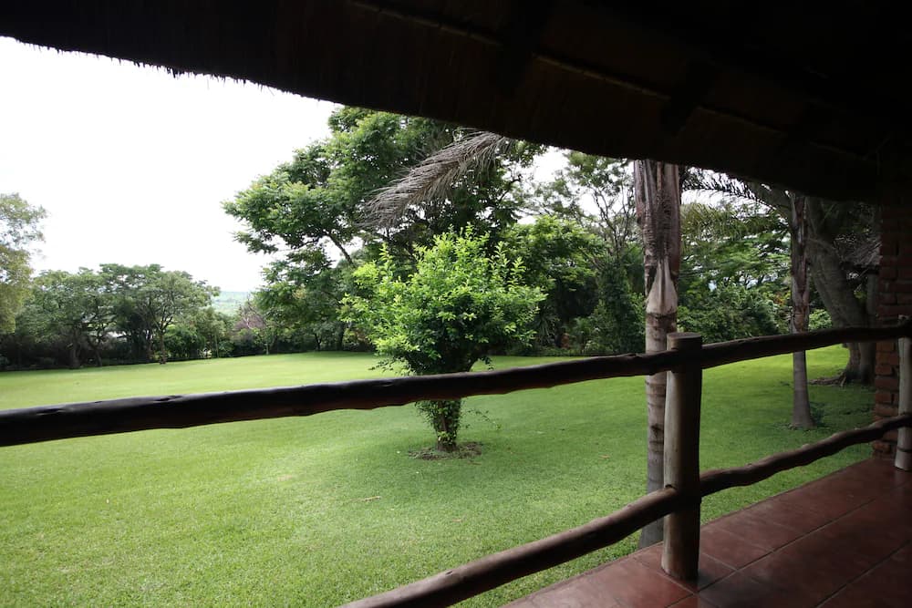 Garden view