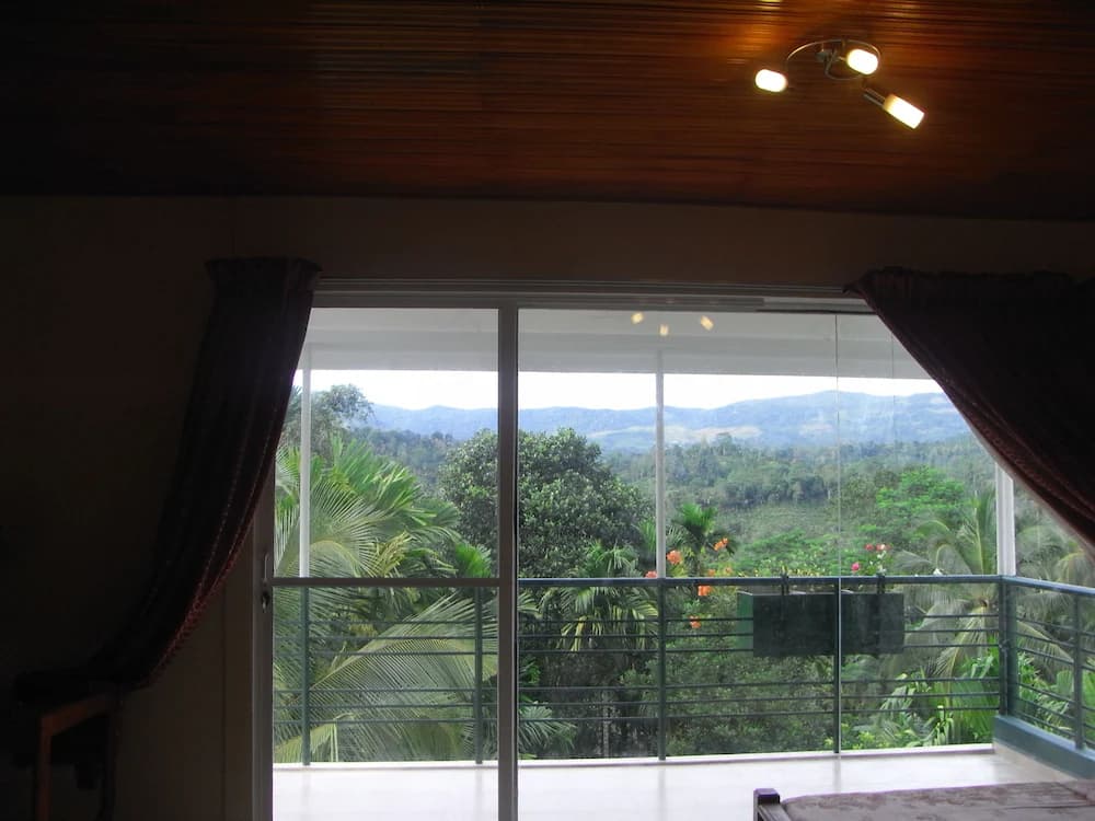 View from room