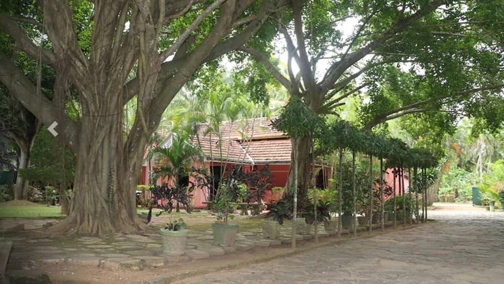 Primary image