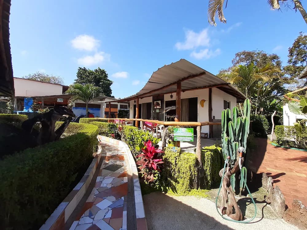 Garden view