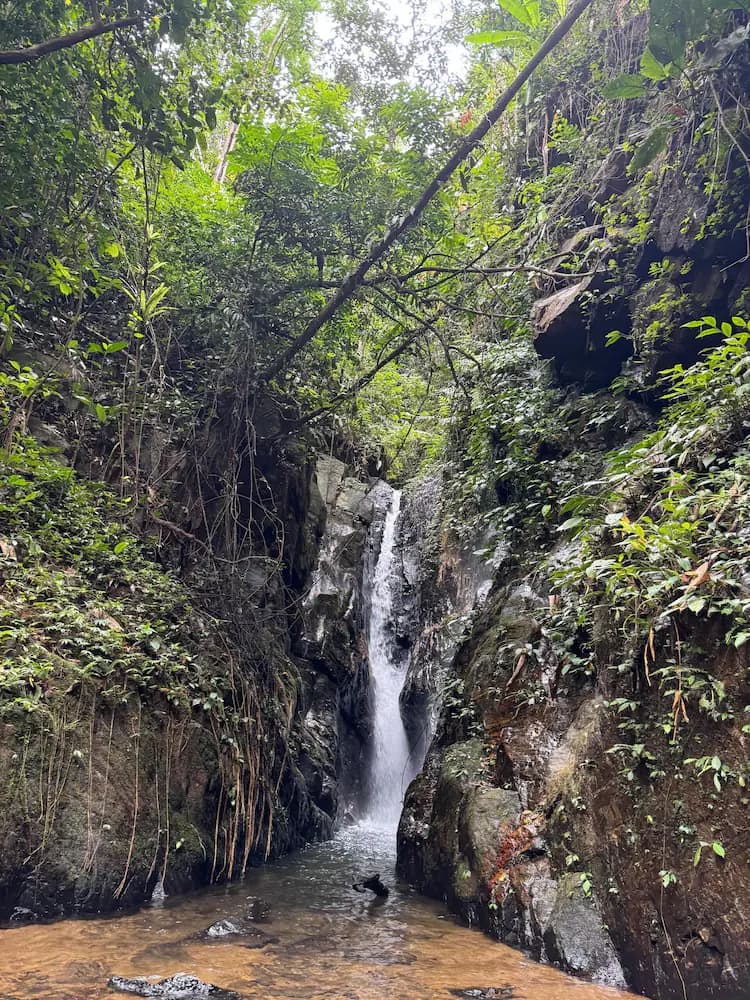 Hiking