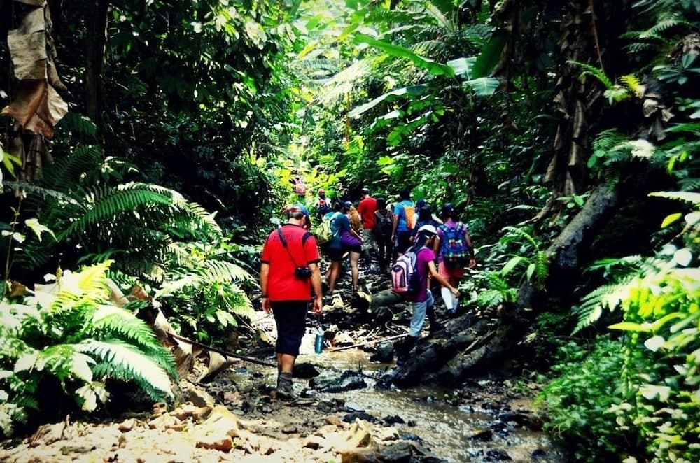 Hiking