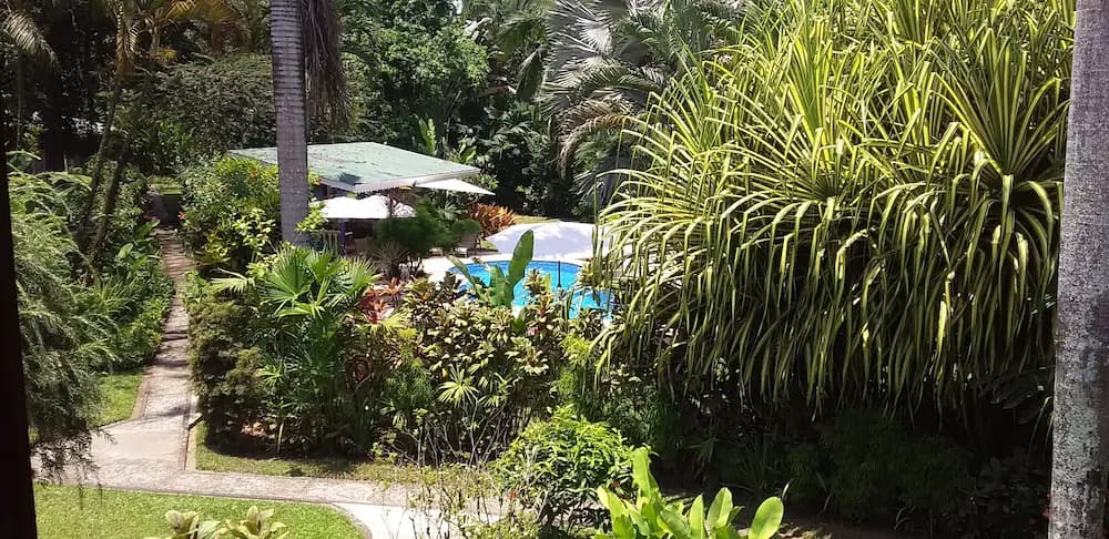 Garden view