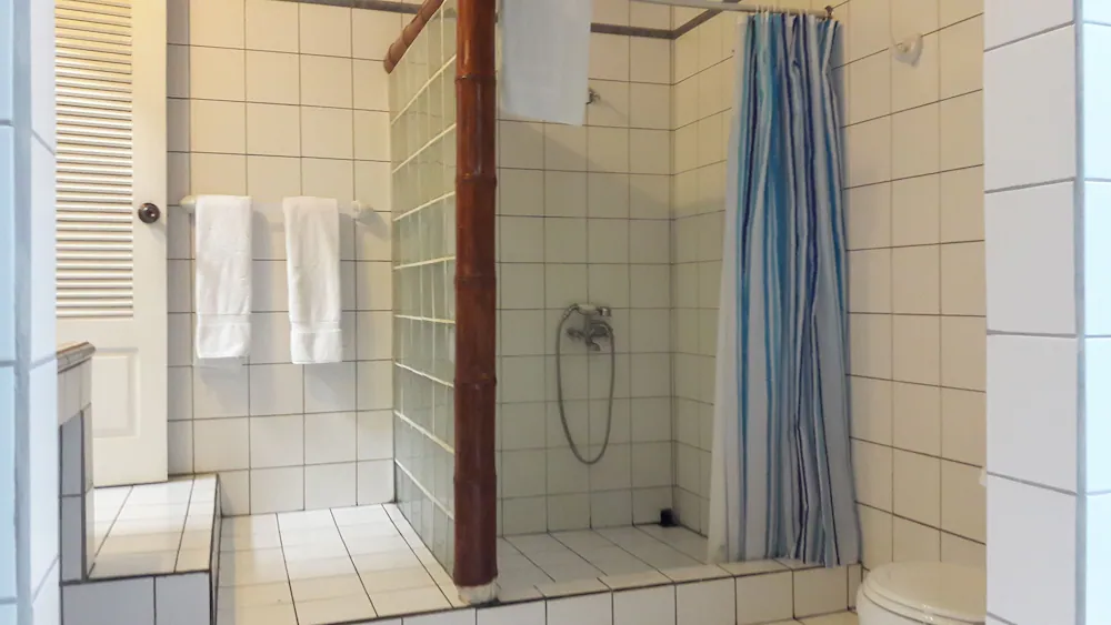 Bathroom shower
