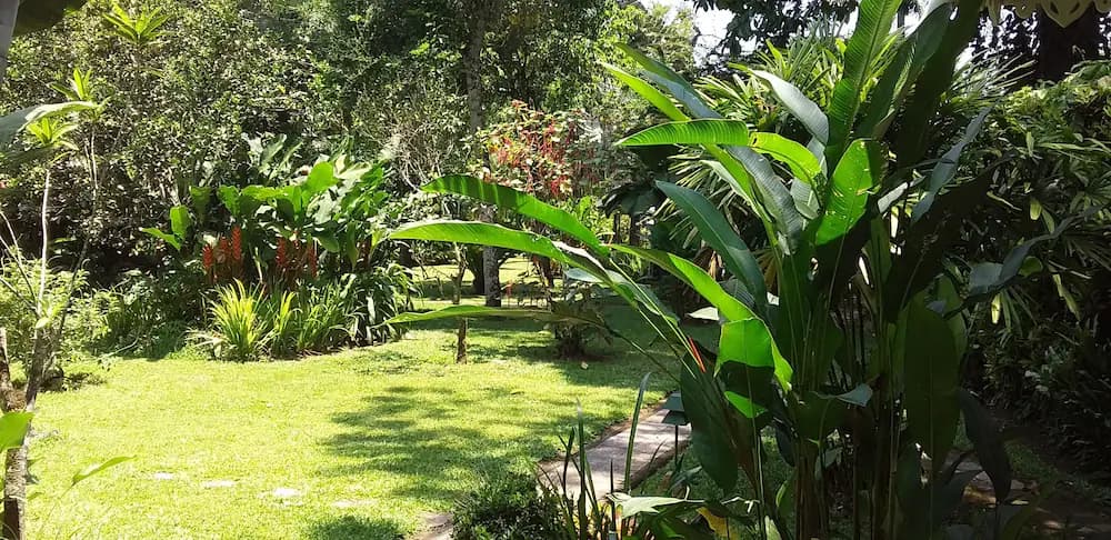 Garden view
