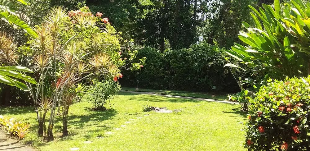 Garden view