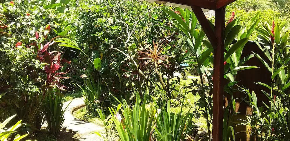 Garden view